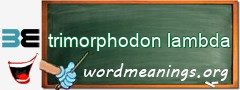 WordMeaning blackboard for trimorphodon lambda